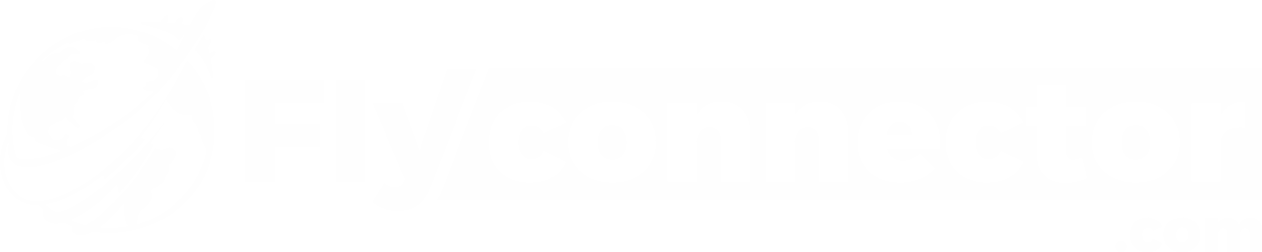 flyconnector.com
